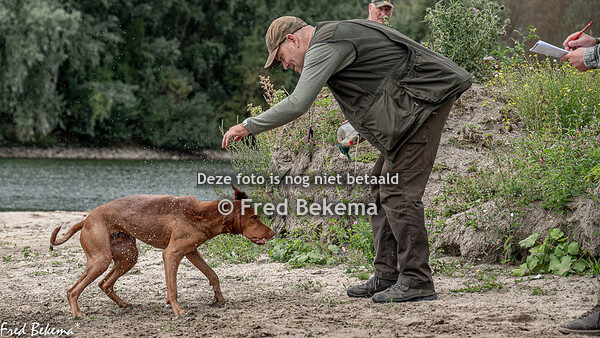 Proef uit diep water