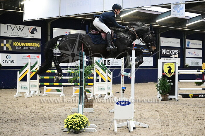 Witse Geysen - Quasim