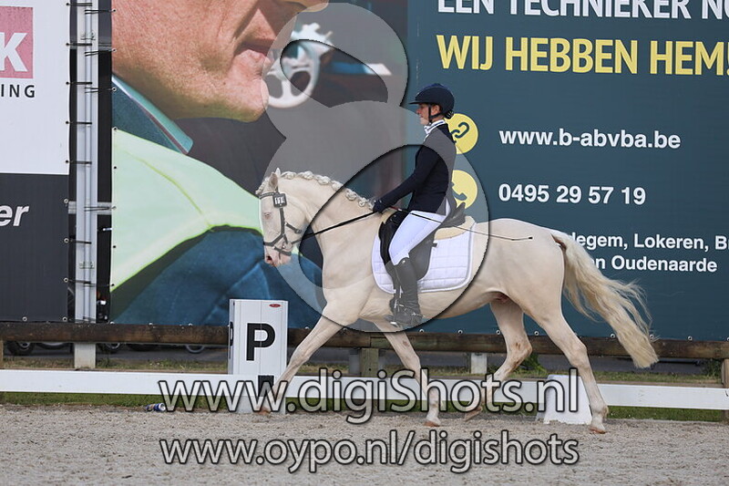 Cappuccino van t Dommelhof