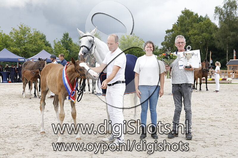 Vinco H v. Cero Blue TN