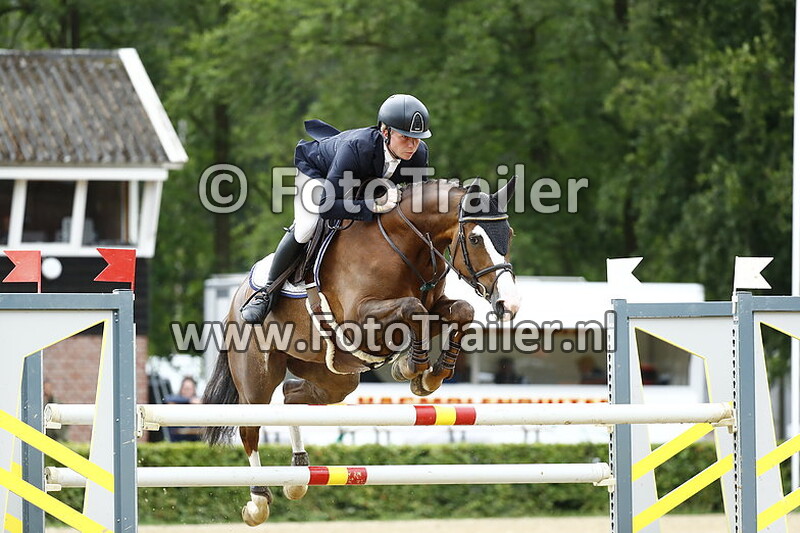 dennis van den brink