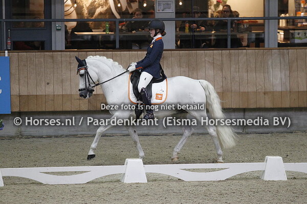 Micky Schelstraete met Elin's Noncisdador (1)