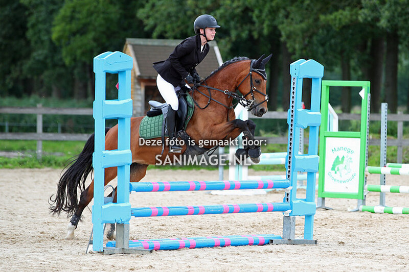 Manege Groenewoude Springen 13-08-2023 Paarden 60/70 cm