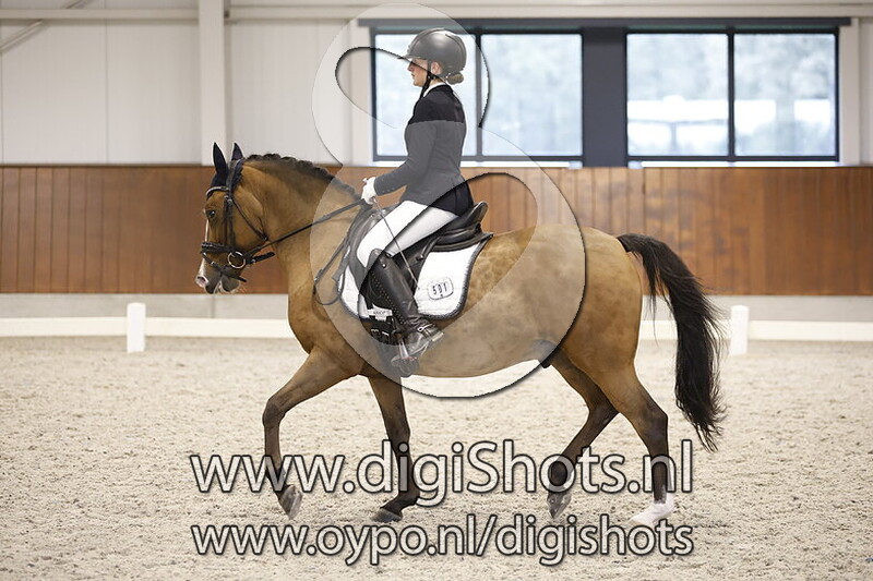 Peterlenas Hoeve Peter