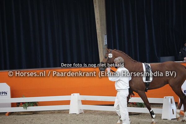 427 (Geniaal x Jazz)