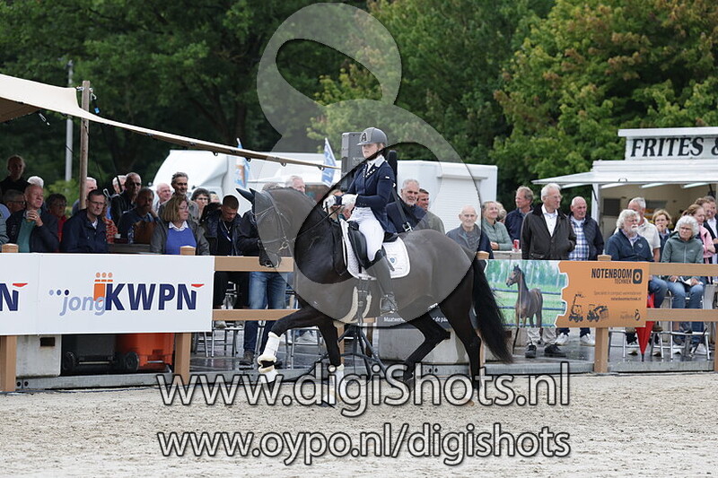 Fokker van het Jaar Dressuur