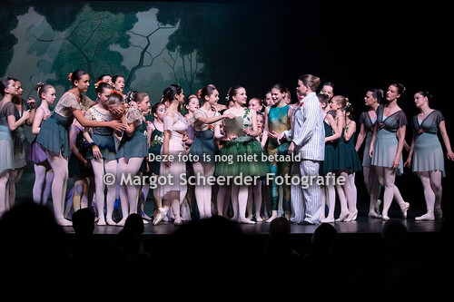 23 feeën Midzomernacht