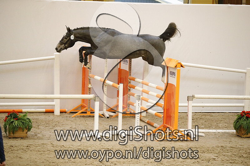 030 Lexus v. Cicero Z van Paemel