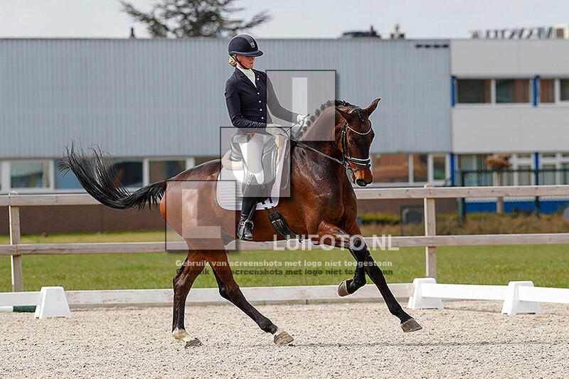 24-04 Dressuur Hillegom