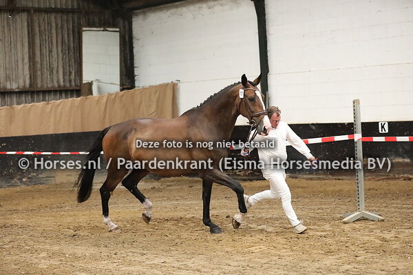 77 Wendy VCG v Rhodium