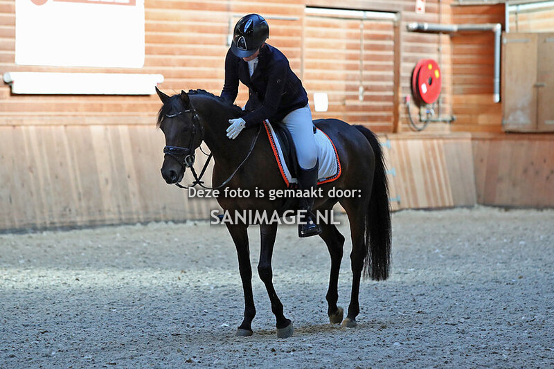 PV Midland Dressuur 09-10-2022 rubriek 13.30 uur