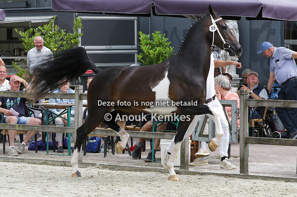 059 - ROSIELOCIA CIZANDRO X PATIJN L.W. BOELENS, EEN/ L.N.M. TEL, EEN