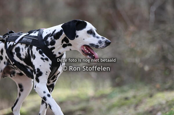 Zaterdag 12 maart 2022 - Helden (lange cross)