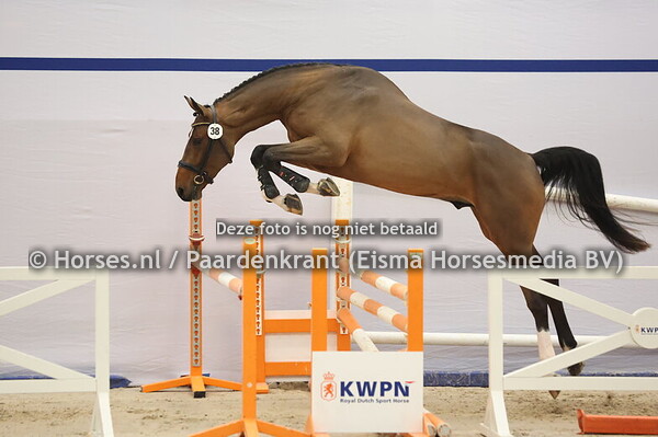 38 (Commander Z x Action Breaker)