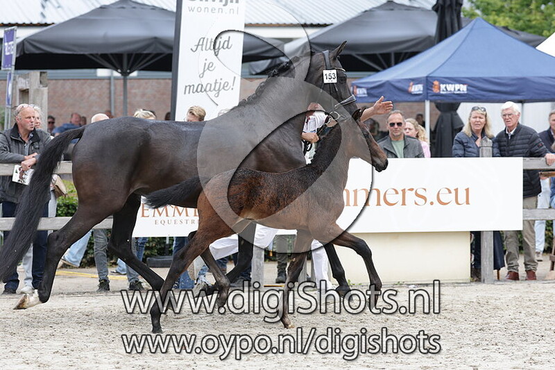 Valentina Bell KVB v. Proud James