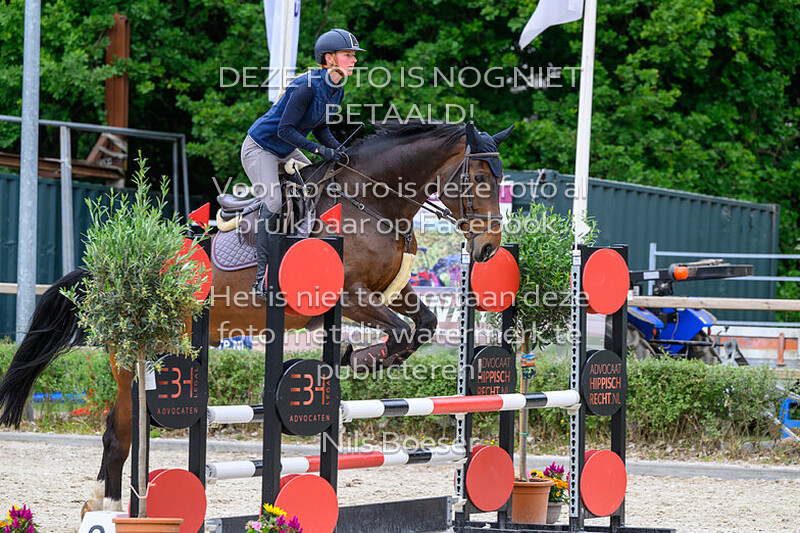 1 Oefenspringen voor pony's en paarden