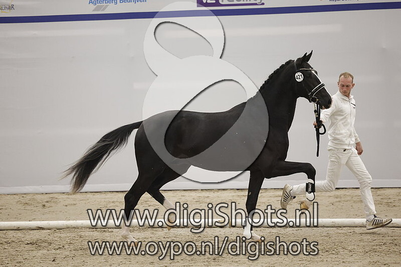 Power and Pride v. Jameson RS2 - 421