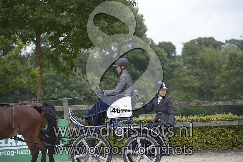 Sylvester Van Heijningen