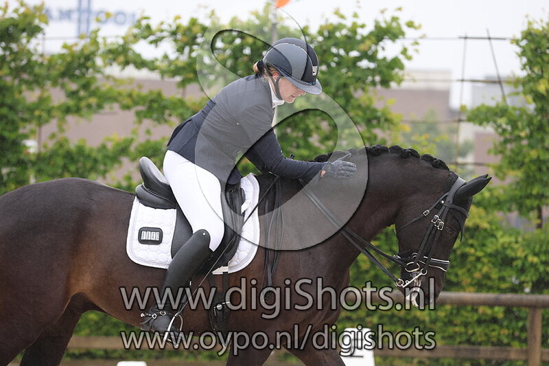 Rockefeller van het Pulderhof