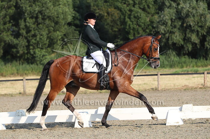 Denise van der Schelling