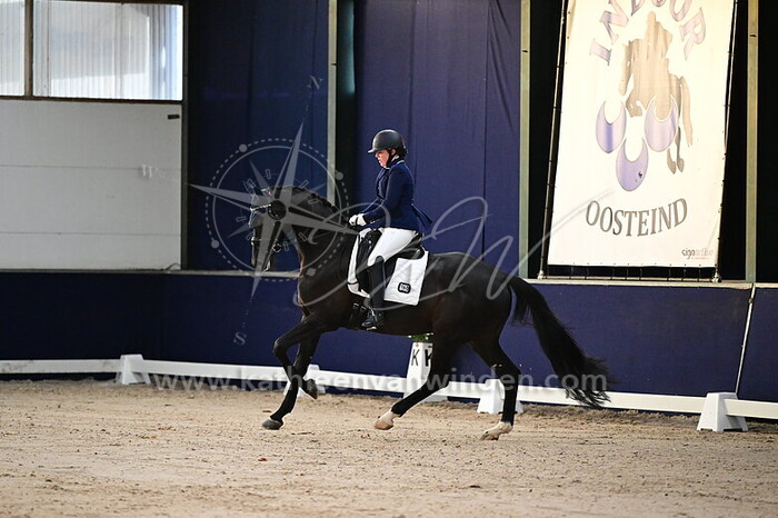 Mascha Zandvoort - Nolisco BH