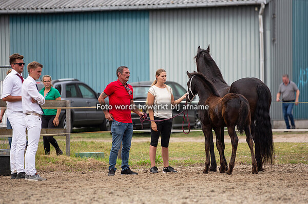 48. Monja van Bart Zunnestal