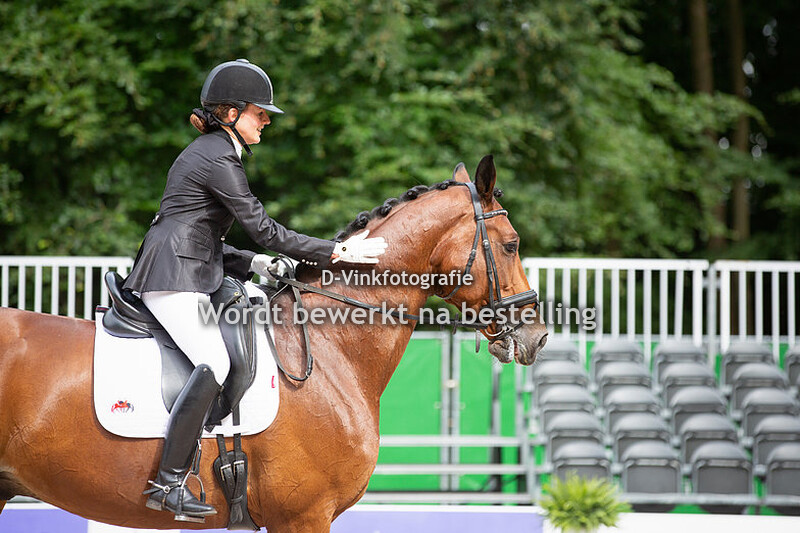 Domenique Dieges - Casanova