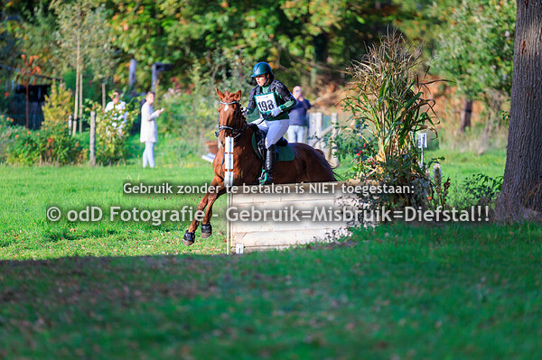Eventing Diepenheim paarden M 19-10-25