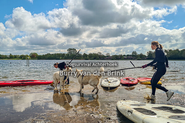 Dogsurvival Achterhoek 2024