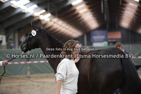 44 Linda (Hennessy x Finistere v. Gribaldi)