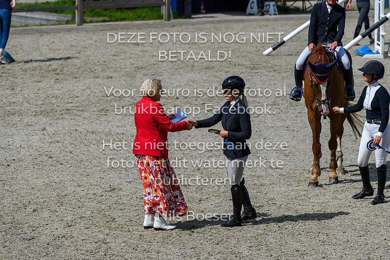 6 Paarden Klasse 100cm