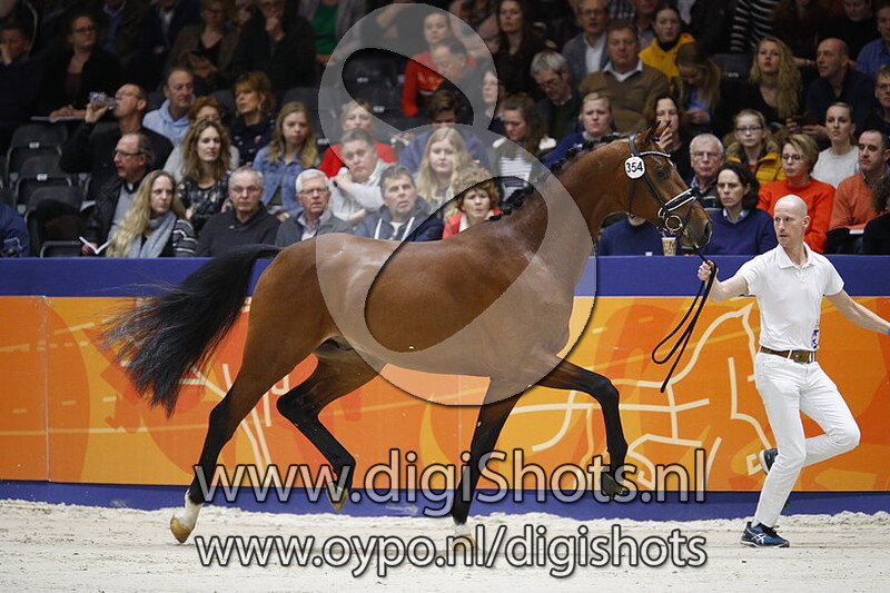 Leandro v. Don Romantic