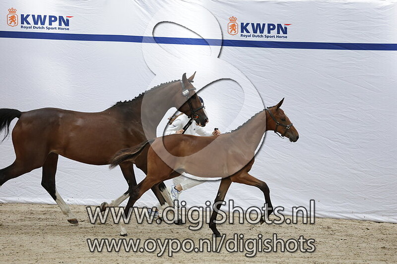 Vidax v. Drummer 2000 TN