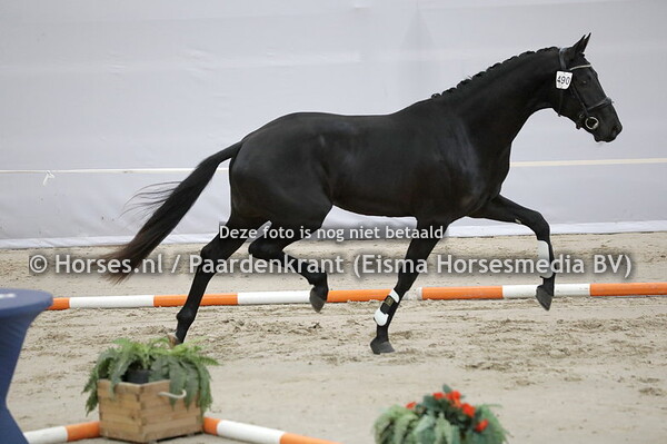 490 Replay KK (Nesnarf Macoron x Tara v. Jazz)