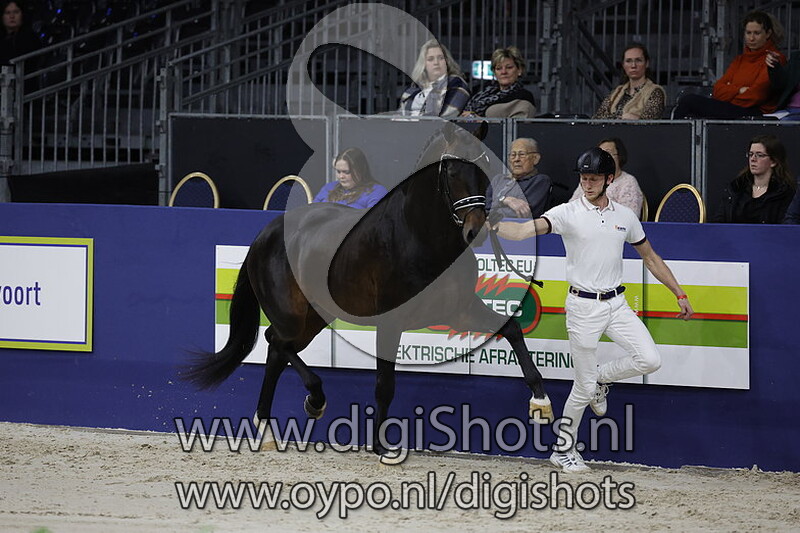 Ready To Rumble v. Le Formidable - 466