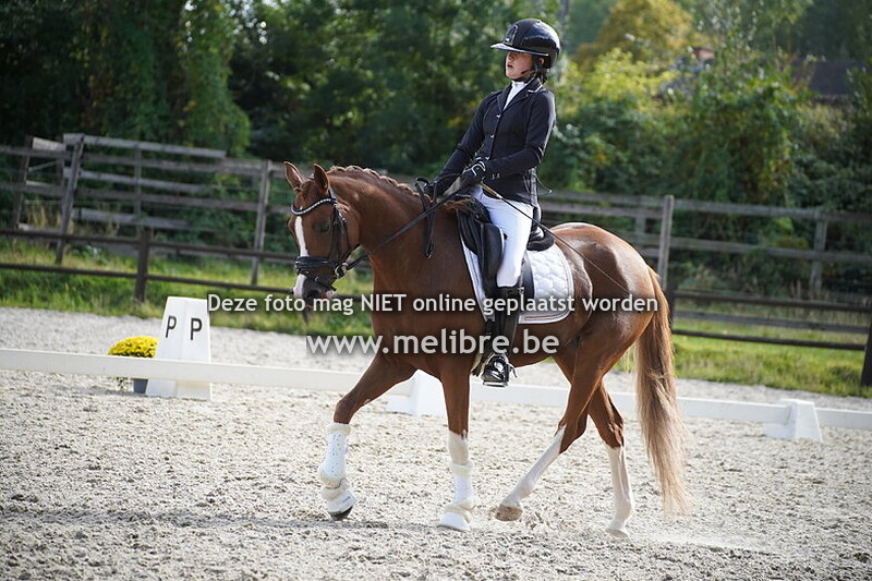 VCE Oefendressuur 13/09/25