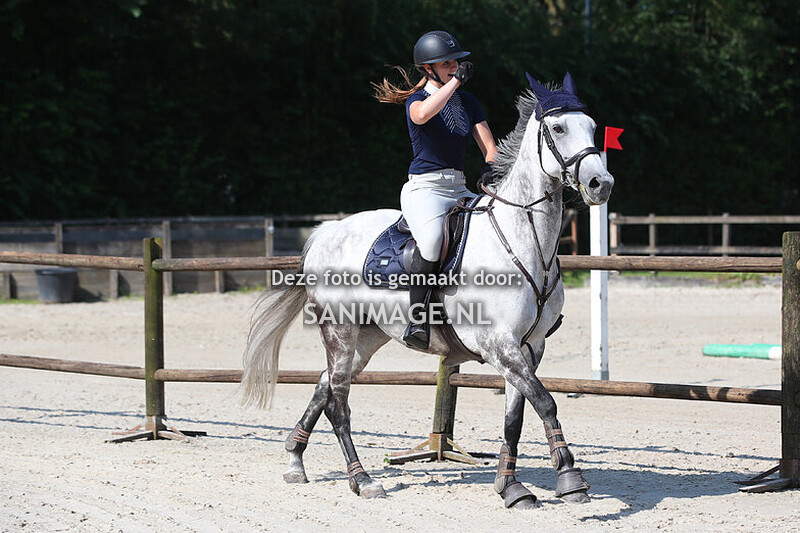 PV Midland Zomerconcours 27-07-2024 100 cm