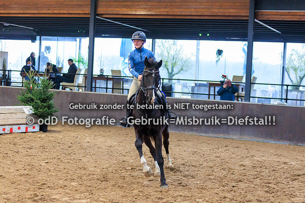 Indoor SGW Cross Paard BB 30-12-24
