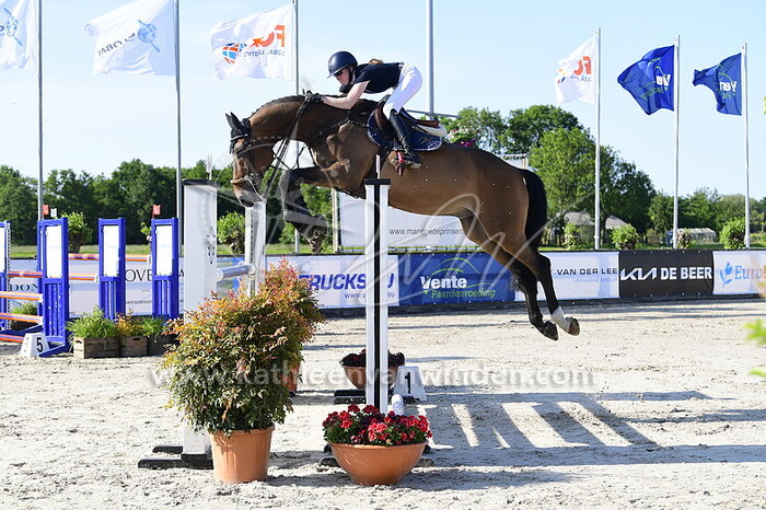 Nikita Cheung - Bellisimo v.d. Laarseheide Z