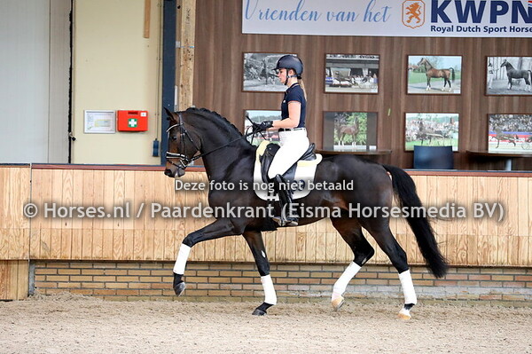 22-10-2020 KWPN-standfoto en actiedag dressuurhengsten