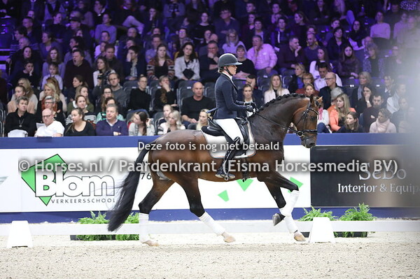 King van het Haarbosch