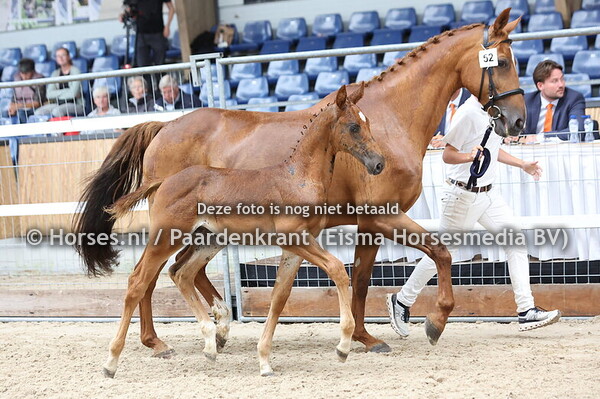 52 Varona O'Hesseln (Mindset ES x Arischa O'Hesseln)