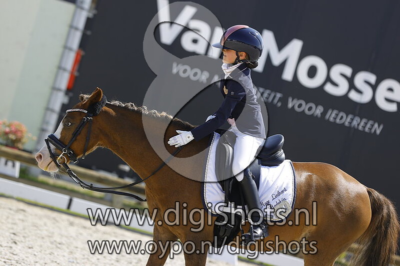 Hoge Linthorst Harlekijn