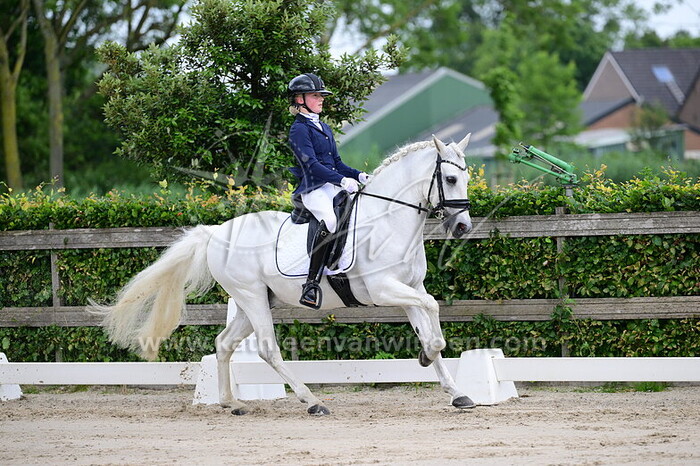 Suus van Schip - Sinbad