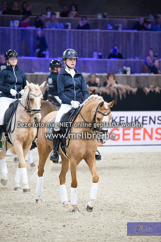 VLP Demo dressuur ponies