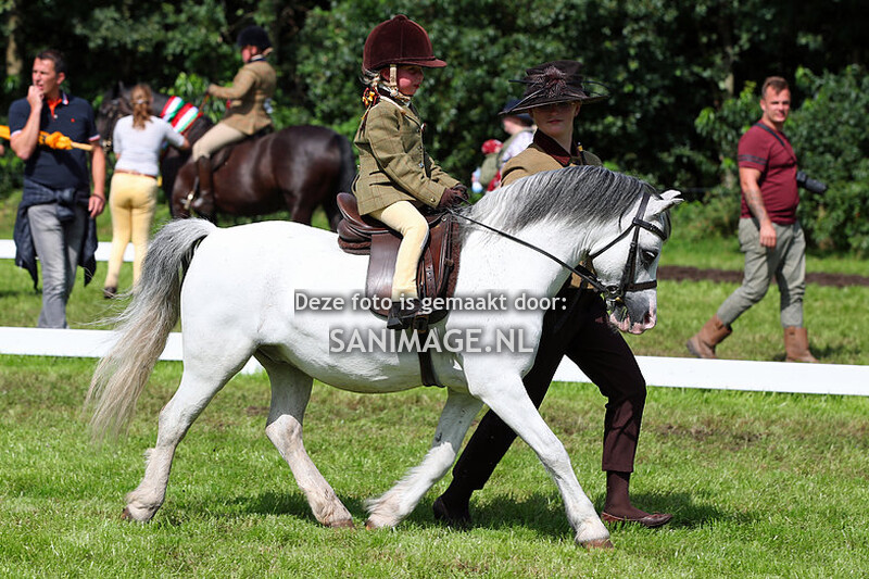 Dragon Welsh Pony Show 12-08-2023 Gebruikersrubrieken