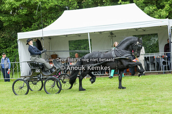 Friezen Limiet Groep 2