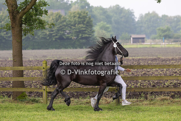 07. Renske fan 't Lakerveld