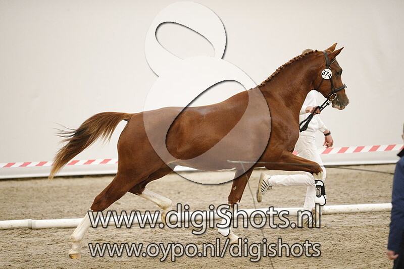 Mercuriusyade NVDW v. Feel Good