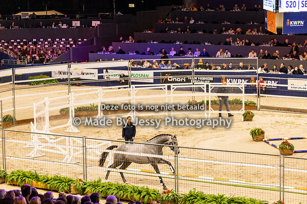 Hengstenkeuring KWPN Zaterdagochtend 2e bezichtiging